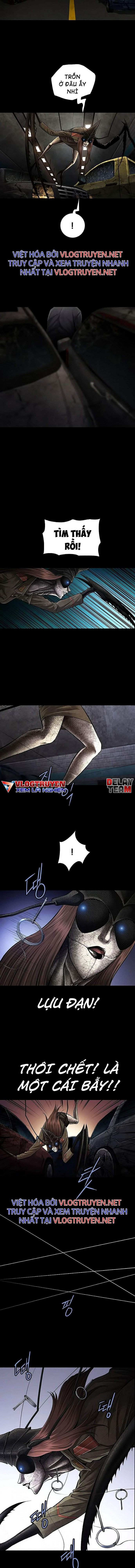 Đọc truyện Hive - Thảm họa ong độc - Chap 282